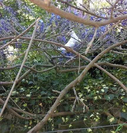Alloggio per agriturismo Dominus Domenico