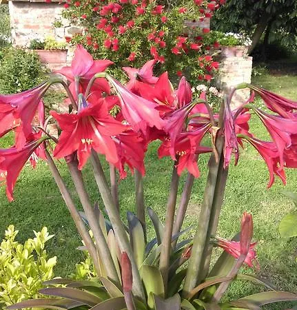 Dominus Domenico Alloggio per agriturismo