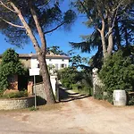 Dominus Domenico