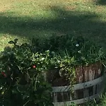 Farm stay Dominus Domenico