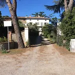 Dominus Domenico * Cortona