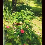 Dominus Domenico Farm stay