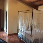 Dominus Domenico Farma