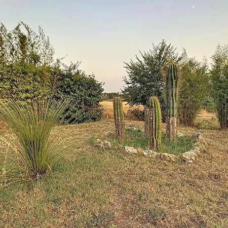 Dominus Domenico Farm stay Cortona