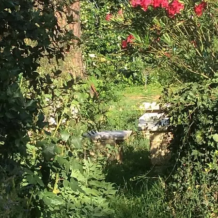 Dominus Domenico Farm stay Cortona