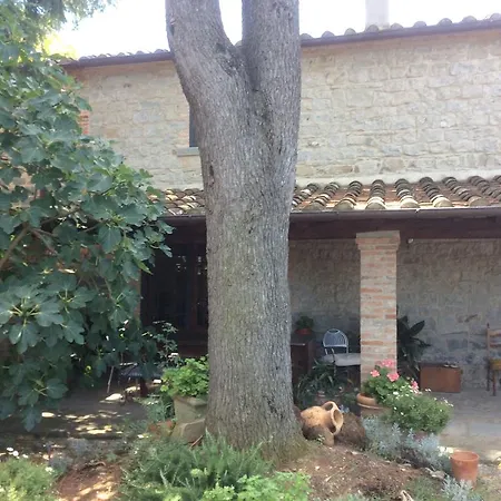 Dominus Domenico Farm stay *