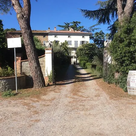Dominus Domenico * Cortona
