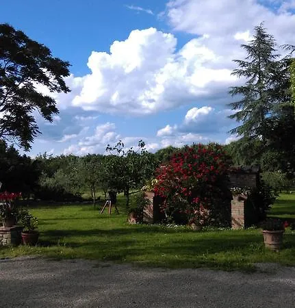 Dominus Domenico *