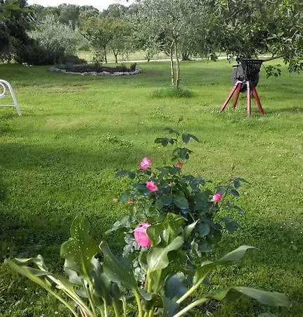 Farm stay Dominus Domenico